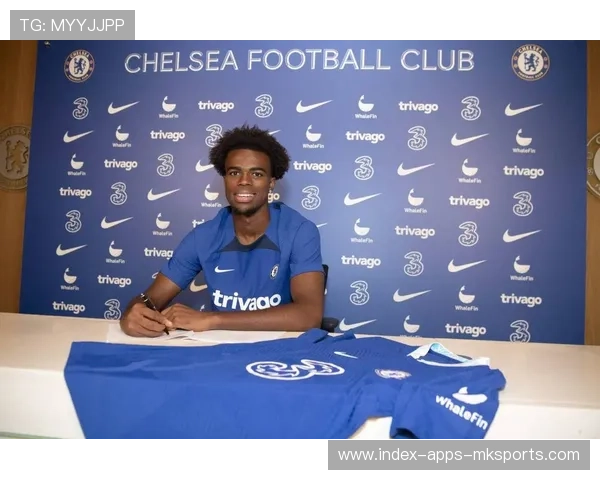 切尔西若在转会市场稳健操作，长期回报可期