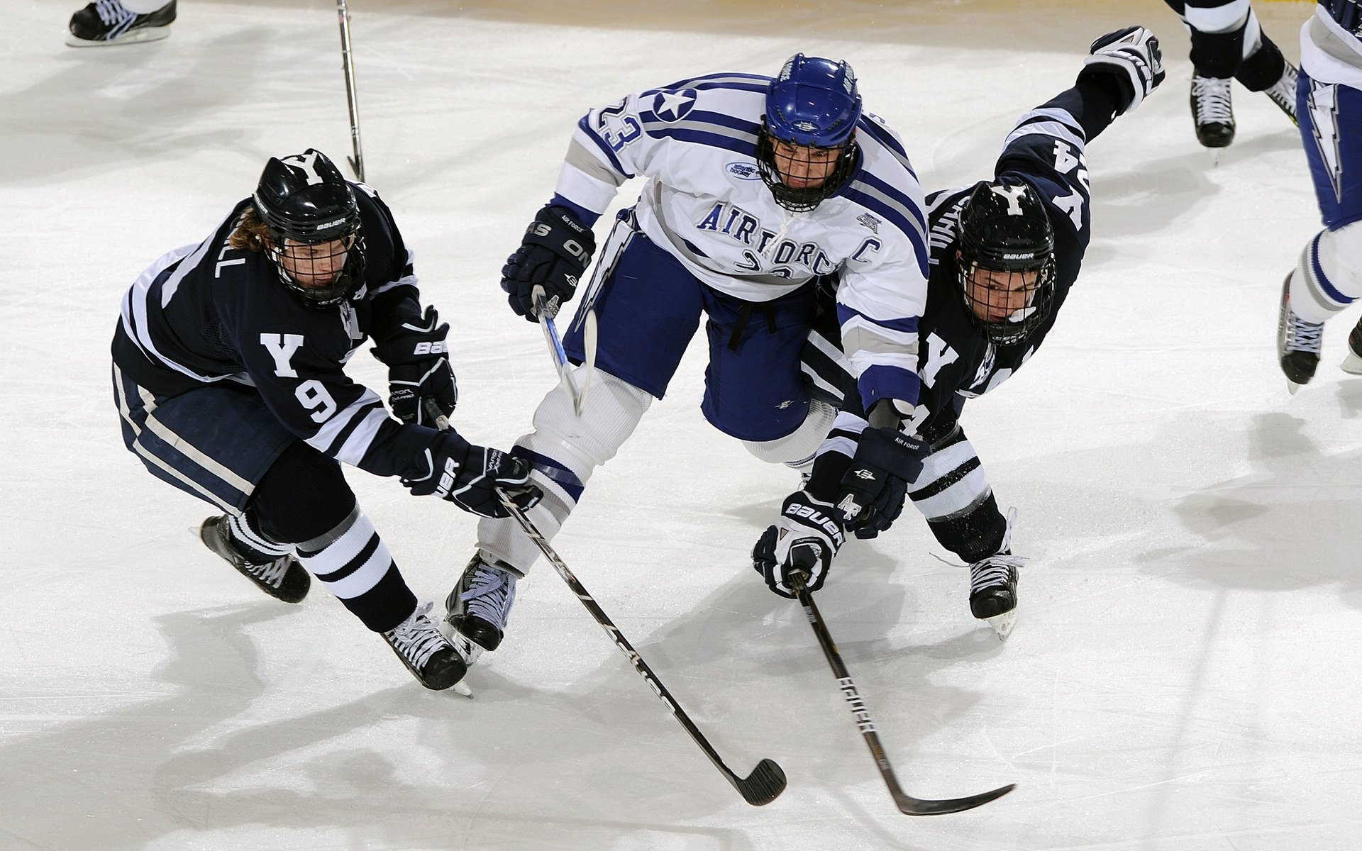 凯瑟琳·伯科夫用速度与耐力完美结合，凯瑟琳·波克瓦克的真实经历
